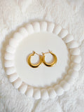 Bold Aura Hoops